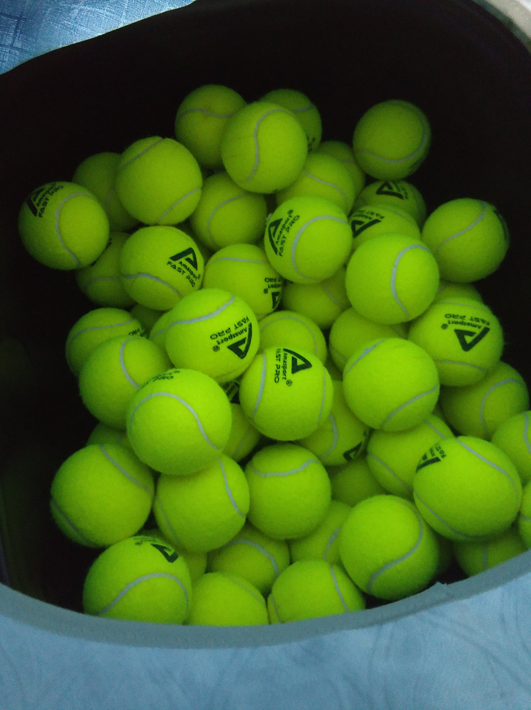 晋级的球队 晋级的球队