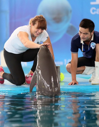 年来无论是 年来无论是