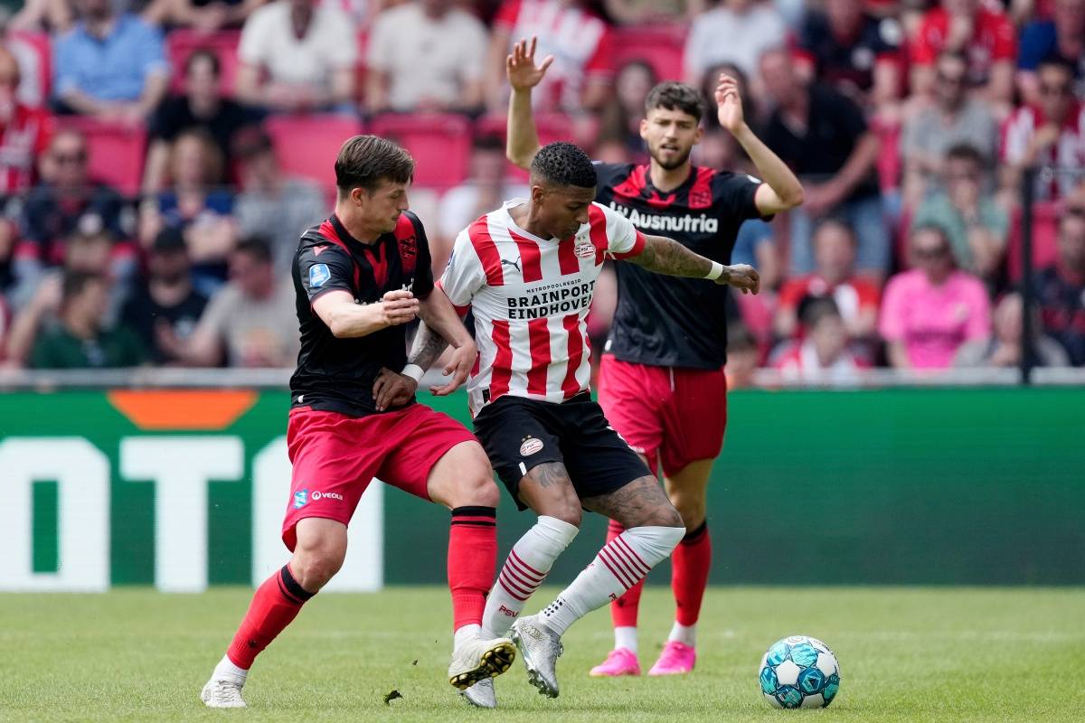 为球迷带来 为球迷带来