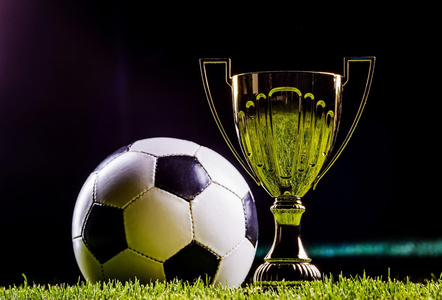 这让希杰杯 这让希杰杯